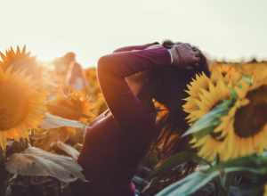 Grinter Sunflower Farms, Lawrence, United States