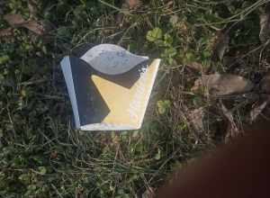 A French fry container made of plastic-coated paper and bearing the Hardee's brand, resting in late winter grass on a roadside in Springfield Illinois.