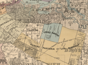 Part of an 1890 map of Santa Clara County showing Whisman, Mountain View, parts of Alviso, Braly as well as what was Rancho Pastoria de Las Borregas and Ynigo Rancho