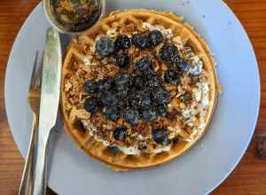 A lemon and blueberry waffle served at Rooted Coffee Co. in Walnut Creek, California, United States. Vegan and gluten free.