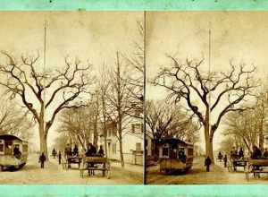 SV-049 — Nelson Dionne Collection. View of the Big Tree in the center of Boston Street, near the modern location of the AOH building; the house to the far-right is extant today as 106 Boston St. The tree is flanked on the left by a trolley, and the
