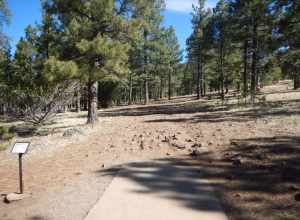 Hole #6 at McPherson Disc Golf Course
