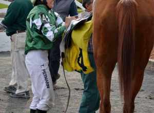 6th race, Tammie P. winning with Wise Latina

 Suffolk Downs October 27, 2012