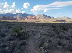 Trail around Nevada