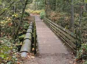 A bridge and pipeline crossing Whatcom Creek, below Iowa Drive, Bellingham, Washington