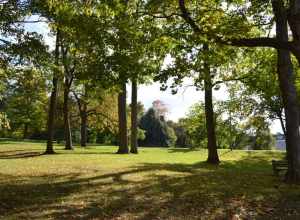 Westcott, Syracuse, NY 13210, USA