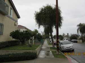 Monterey Park, CA, USA